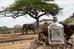 Elephant Dry Gin - 50cl - 45% ABV - Gin/Distillery - Gin Kiosk